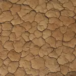 Tjekliste: 12 små reparationer, der forlænger husets levetid