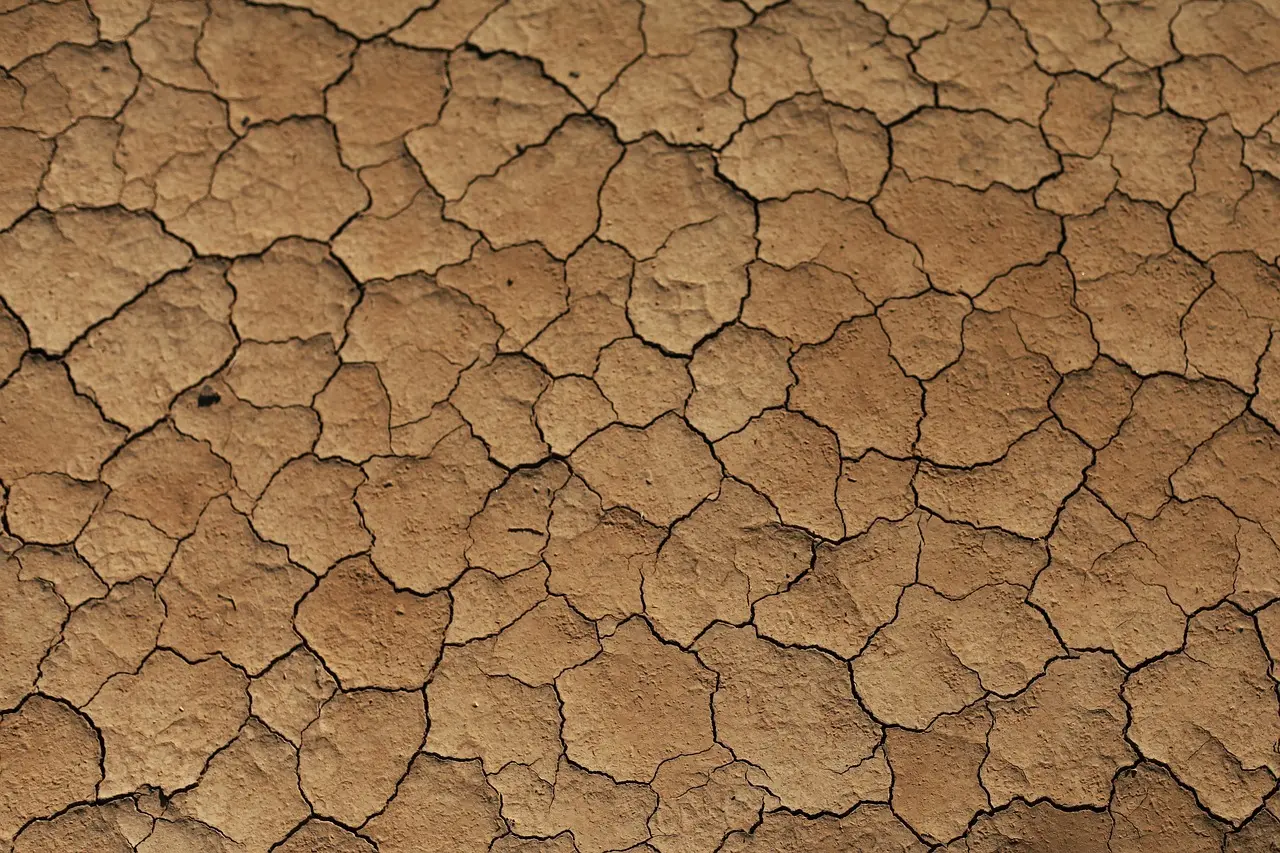 Tjekliste: 12 små reparationer, der forlænger husets levetid